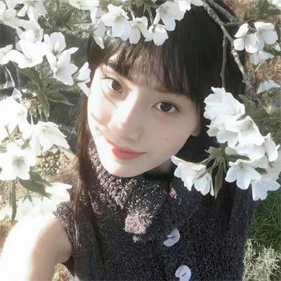 踏血寻梅